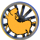 Spin & Win